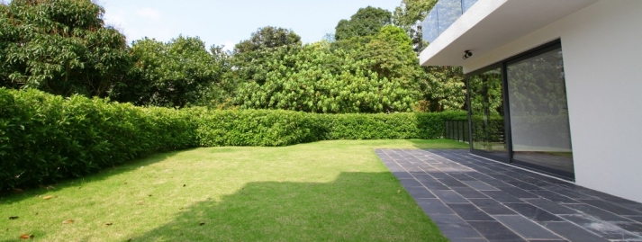 <a href="javascript:popUp('sai-kung-property-003033-E.php','1070','630')">CLEAR WATER BAY VILLAGE HOUSE HKD 29.8M </a>